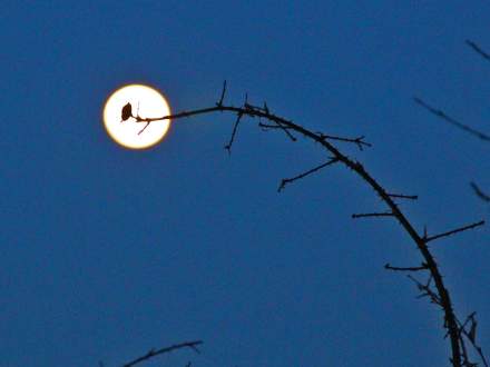 Księżyc nad Koczym Zamkiem 1 marca