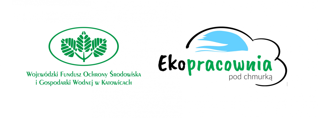 Logotypy Wojewódzkiego Funduszu Ochrony Środowiska i Gospodarki Wodnej w Katowicach oraz programu Ekopracownia