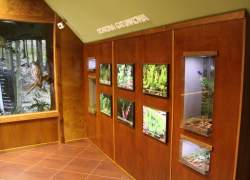 Ekspozycja roślin i zwierząt