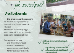 Oferta edukacyjna