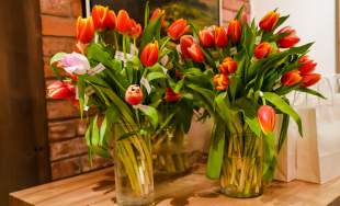 Dzień Kobiet fot. M. Kuźma