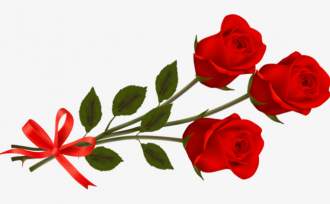 Róże na Dzień Kobiet dla wszystkich Pań