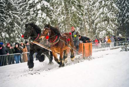 Zawody Furmanów 2026 fot. M. Kuźma