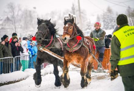 Zawody Furmanów 2026 fot. M. Kuźma