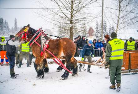 Zawody Furmanów 2026 fot. M. Kuźma