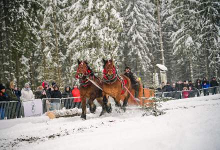 Zawody Furmanów 2026 fot. M. Kuźma