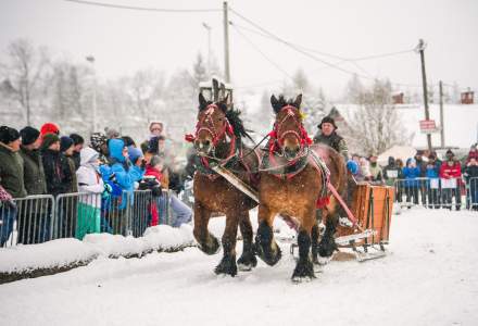 Zawody Furmanów 2026 fot. M. Kuźma