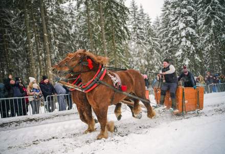 Zawody Furmanów 2026 fot. M. Kuźma