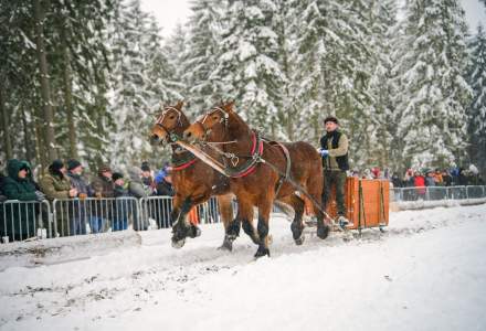 Zawody Furmanów 2026 fot. M. Kuźma
