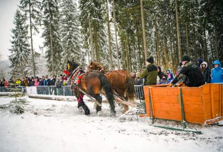 Zawody Furmanów 2026 fot. M. Kuźma
