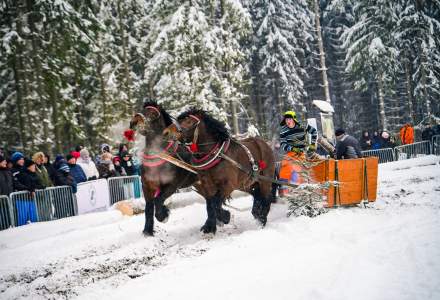 Zawody Furmanów 2026 fot. M. Kuźma