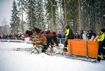 Zawody Furmanów 2026 fot. M. Kuźma