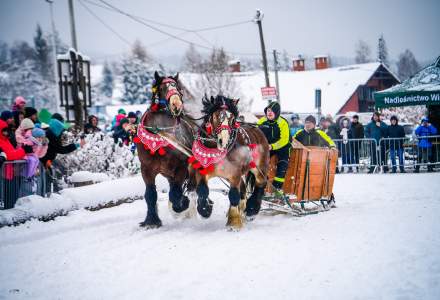 Zawody Furmanów 2026 fot. M. Kuźma