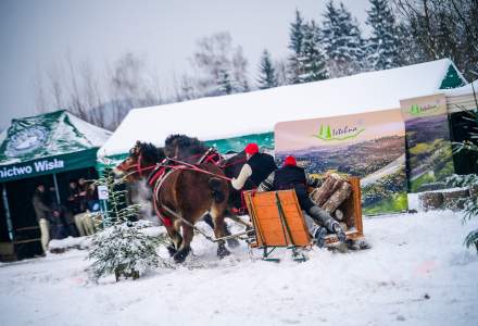 Zawody Furmanów 2026 fot. M. Kuźma