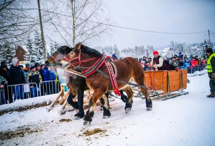 Zawody Furmanów 2026 fot. M. Kuźma