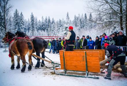Zawody Furmanów 2026 fot. M. Kuźma