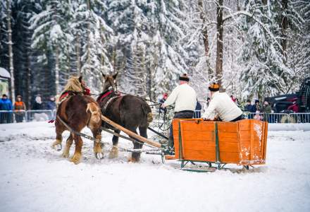 Zawody Furmanów 2026 fot. M. Kuźma