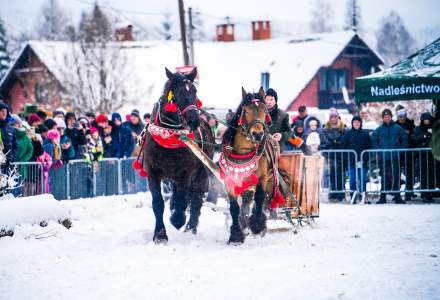 Zawody Furmanów 2026 fot. M. Kuźma