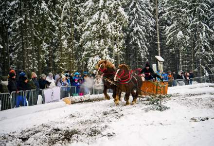 Zawody Furmanów 2026 fot. M. Kuźma
