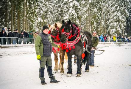 Zawody Furmanów 2026 fot. M. Kuźma