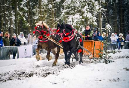 Zawody Furmanów 2026 fot. M. Kuźma