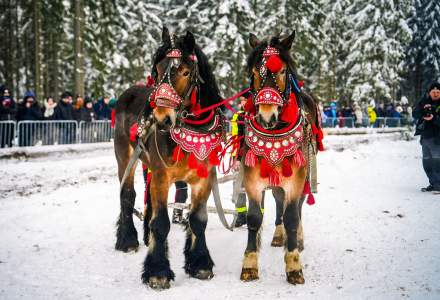 Zawody Furmanów 2026 fot. M. Kuźma