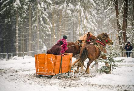 Zawody Furmanów 2026 fot. M. Kuźma