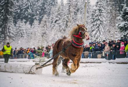 Zimowe Zawody Furmanów fot. Michał Kuźma