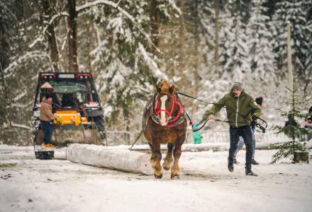 Zimowe Zawody Furmanów fot. Michał Kuźma