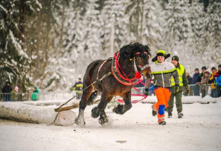 Zimowe Zawody Furmanów fot. Michał Kuźma