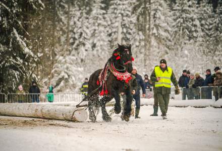 Zimowe Zawody Furmanów fot. Michał Kuźma