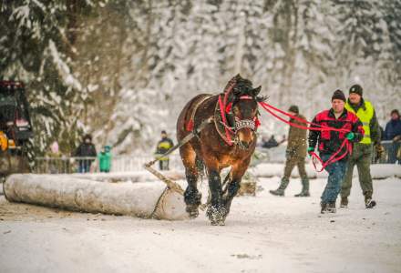 Zimowe Zawody Furmanów fot. Michał Kuźma