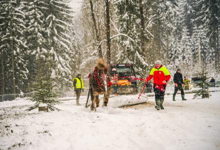 Zimowe Zawody Furmanów fot. Michał Kuźma