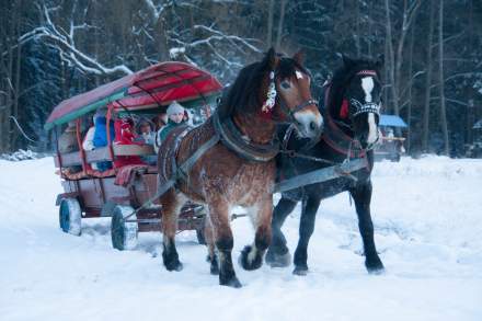 Wóz kuligowy z końmi  - Kuligi Jaworzynka