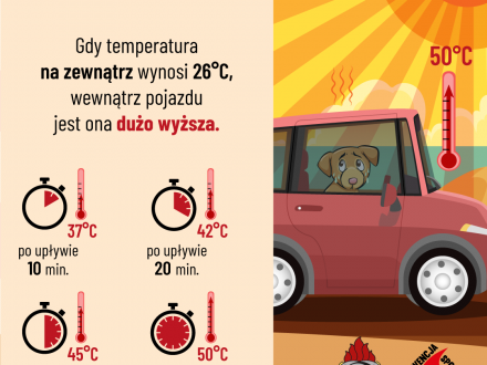 Ulotka informacyjna dot. temperatury w samochodzie w czasie upałów