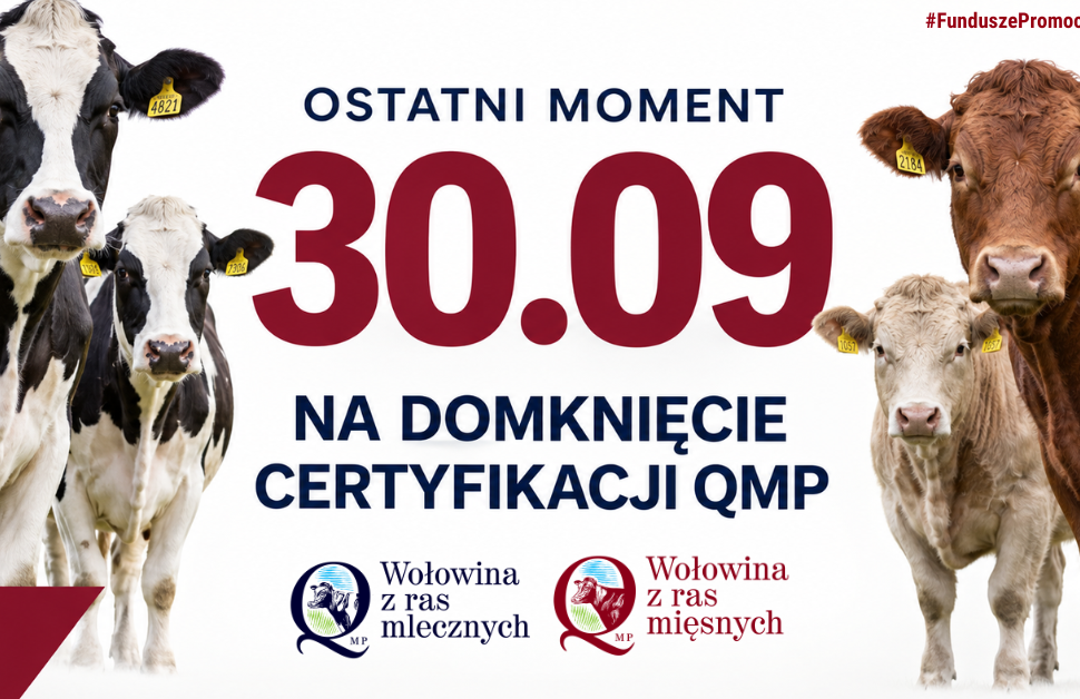 Grafika informacyjna w sprawie certyfikacji QMP.