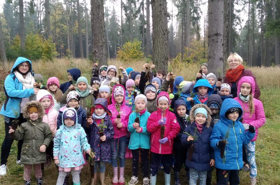 Kolorowo ubrane dzieci w lesie z sadzonkami drzewek i dwiema nauczycielkami