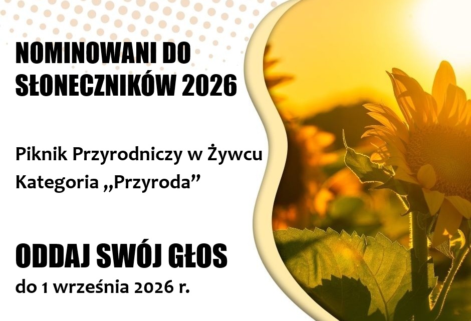 Grafika informacyjna w sprawie głosowania.